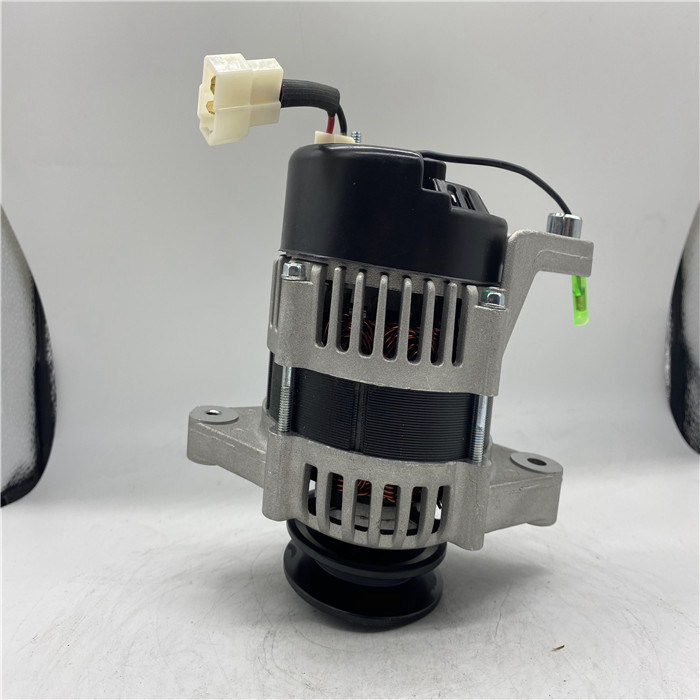 19020700台の掘削機の交流発電機12V 50AはYANMAR R60-5 4D84のために合った